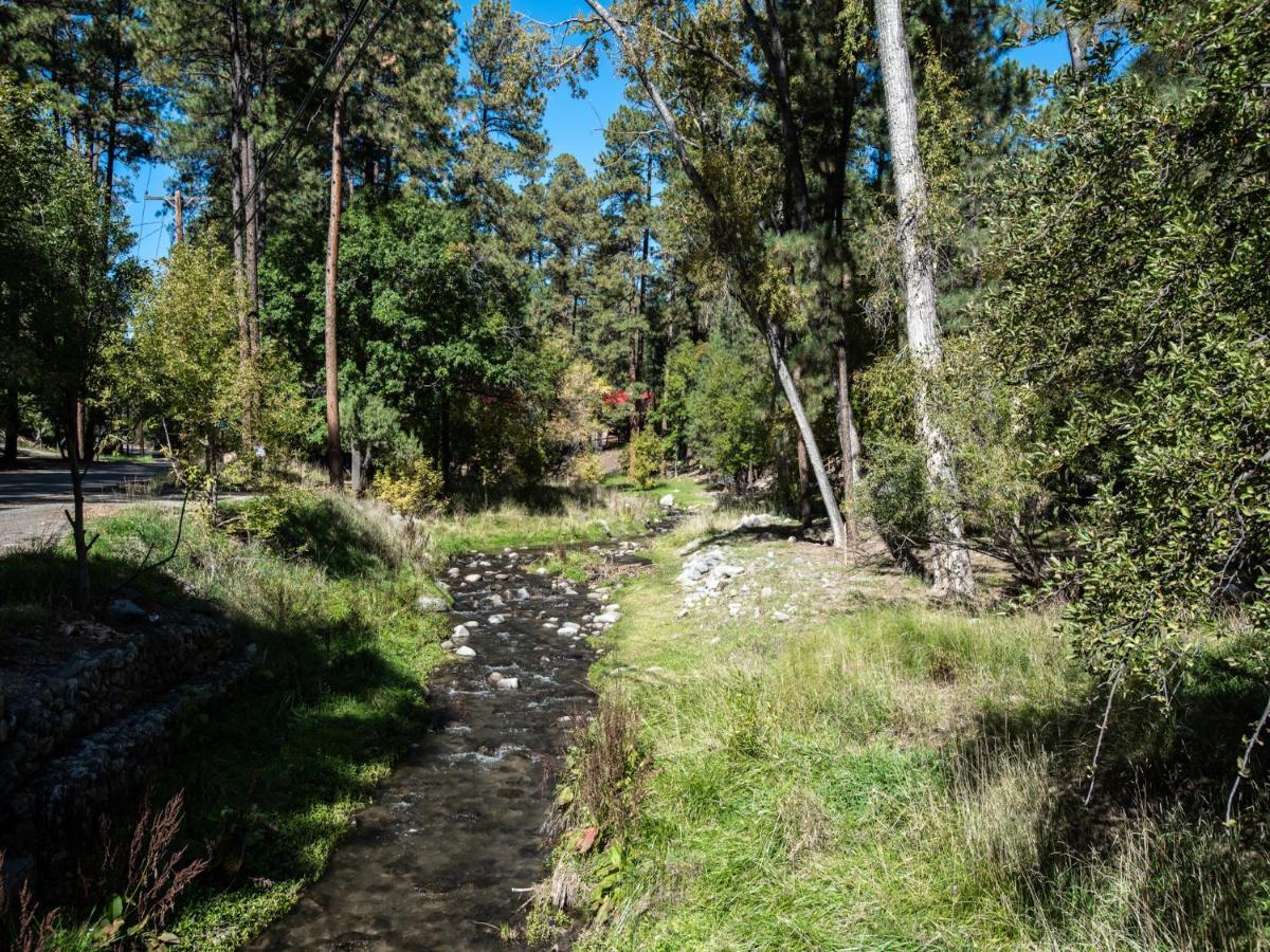 Apache Village 10, King Studio, Midtown, Sleeps 2 Ruidoso Zewnętrze zdjęcie